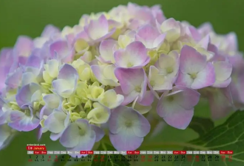 1689035867635263.png image.png