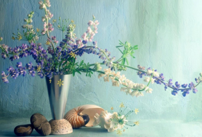 ​英语故事短文加翻译（英语趣味小故事）