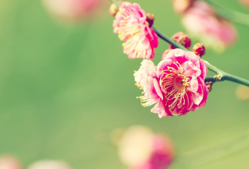 1689038202235381.png image.png