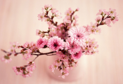 ​柳下惠坐怀不乱的故事（坐怀不乱柳下惠感悟）