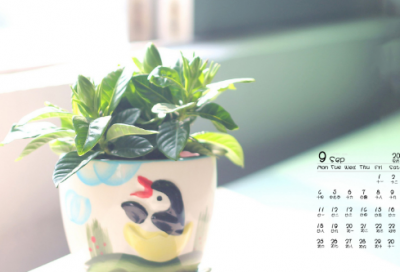 ​长征感人故事500字（红军长征的感人英雄事迹）