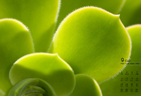 1689039702579101.png image.png