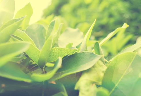 1689040702406424.png image.png