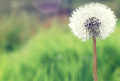 1689042869940644.png image.png