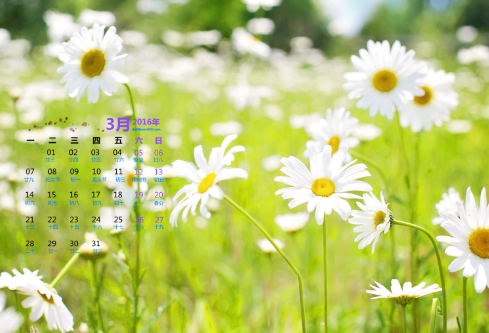 1689043203110028.png image.png