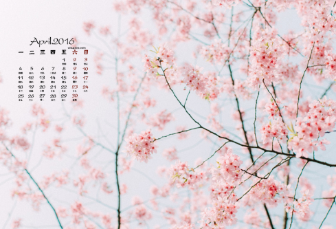 1689044203466861.png image.png