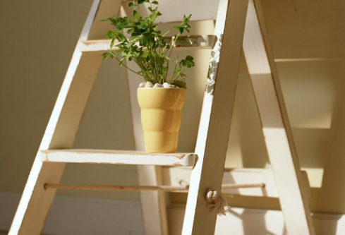 1689044370802727.png image.png