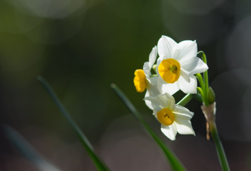 1689044870770409.png image.png