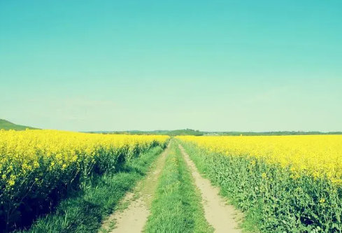 1689045704300962.png image.png