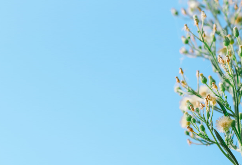 1689046371192257.png image.png