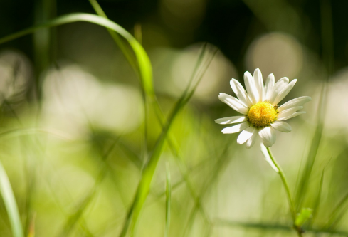 1689046705483981.png image.png