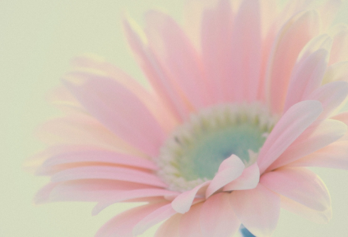 1689047539857177.png image.png