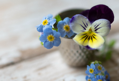 1689047872432907.png image.png