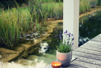 ​入木三分的主人公是谁（入木三分的人物和故事）