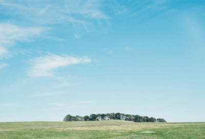 ​狼心狗肺的故事简短（狼心狗肺的典故出处）