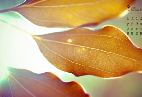 1689051538924582.png image.png