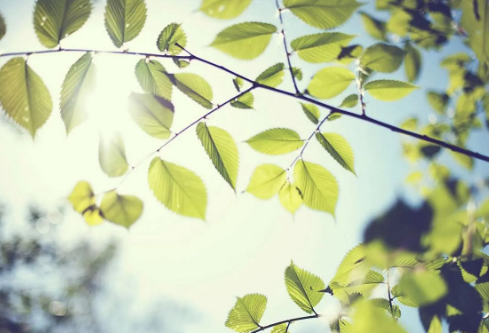 1689051705361444.png image.png