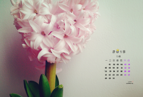 1689051871354232.png image.png