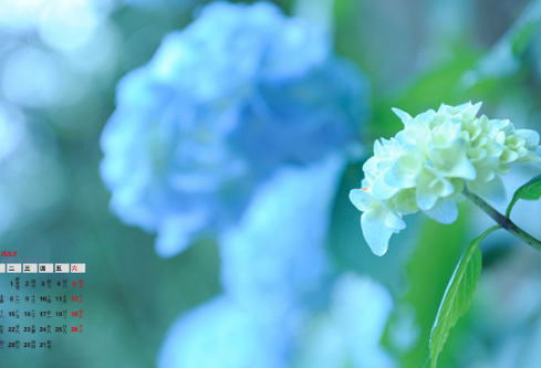 1689052038627810.png image.png