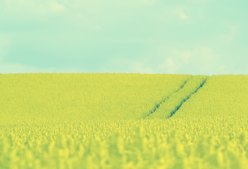 1689053204891137.png image.png