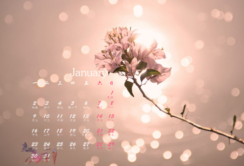 1689053540314200.png image.png