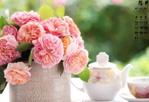 1689053716886724.png image.png