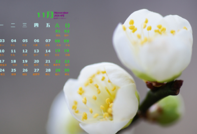 ​胸有成竹的故事及寓意（胸有成竹的简单意思）