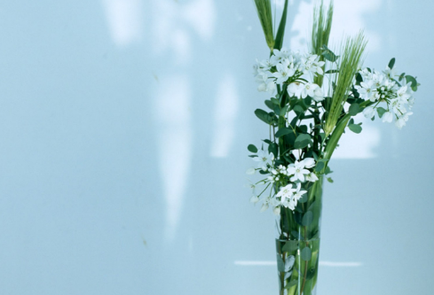 1689054382742520.png image.png