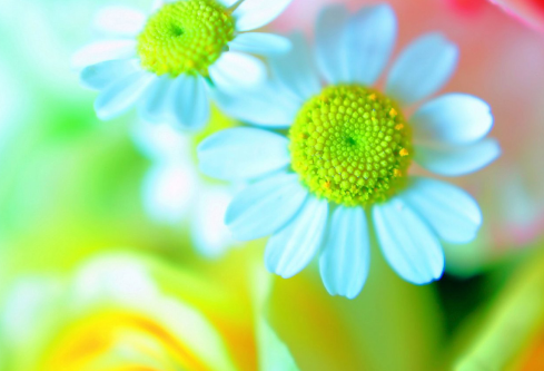 1689054716429850.png image.png