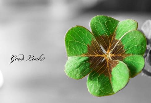 1689054884899709.png image.png