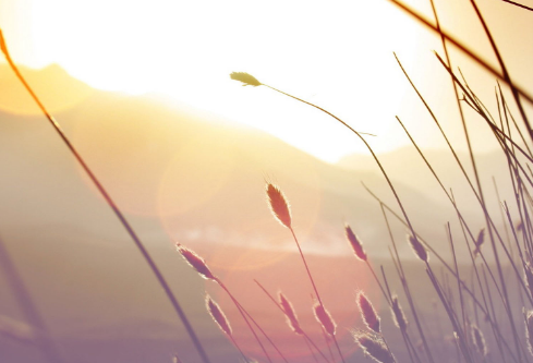 1689055050253121.png image.png