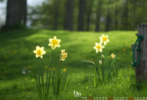 1689056050140252.png image.png