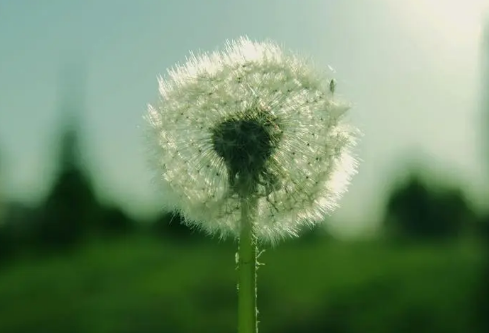 1689056557632964.png image.png