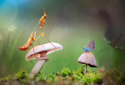 1689057391755049.png image.png