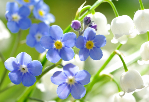 1689058057326956.png image.png