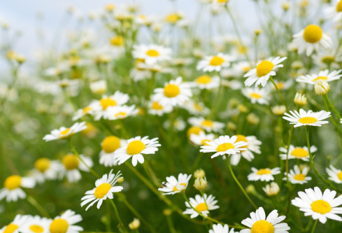 1689058390108517.png image.png