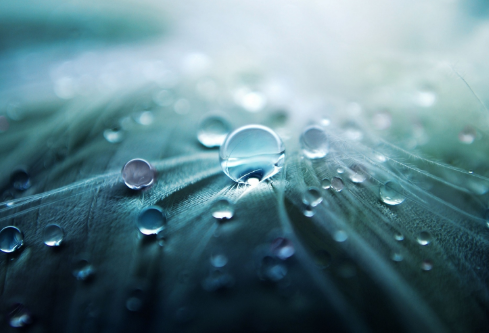 1689058723631358.png image.png