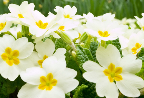 1689058890662078.png image.png