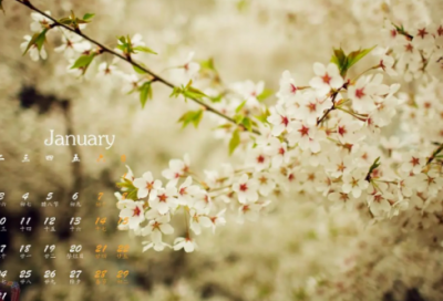 ​泥人张的故事简介（俗世奇人中泥人张的由来）