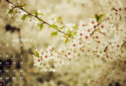 1689059399166972.png image.png