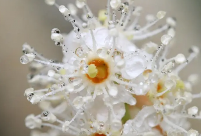 ​倾巢之下焉有完卵的故事（倾巢之下焉有完卵典故）