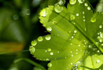 ​指鹿为马的历史人物故事（指鹿为马故事赏析及释义）