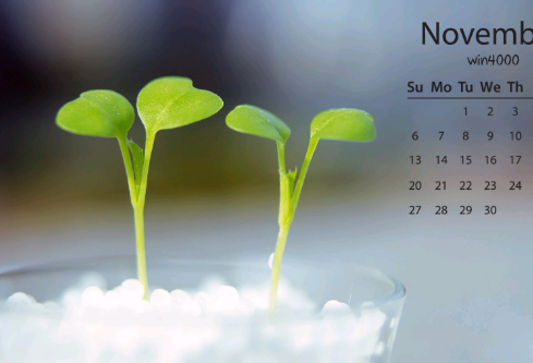 1689061566973016.png image.png