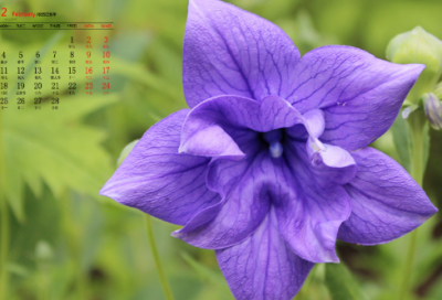 ​睡前搞笑小故事给女朋友（很甜很撩的睡前小故事）