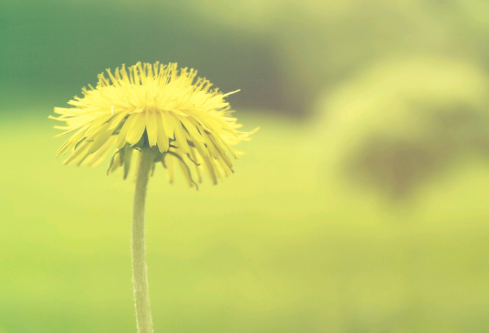 1689065068644067.png image.png