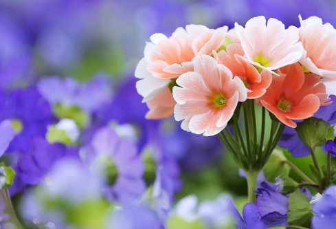 1689065735431568.png image.png