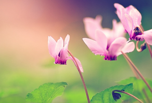 1689065901162145.png image.png