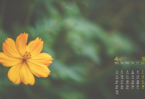 1689066068534614.png image.png