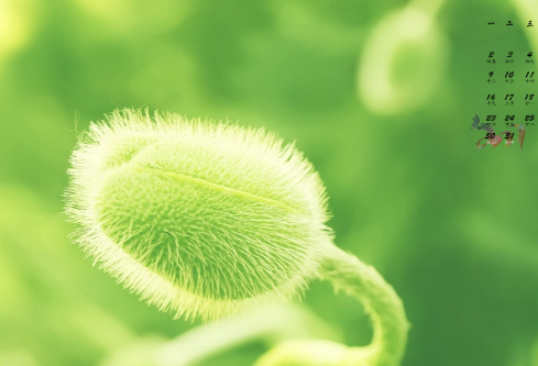 1689066234232644.png image.png