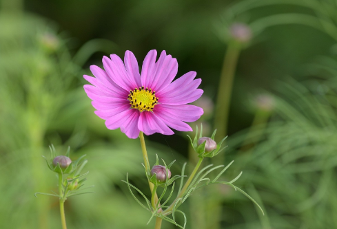 1689080911412956.png image.png